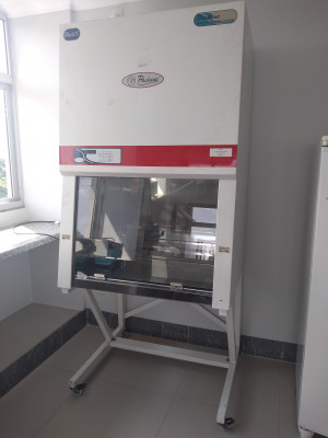 Fluxo laminar